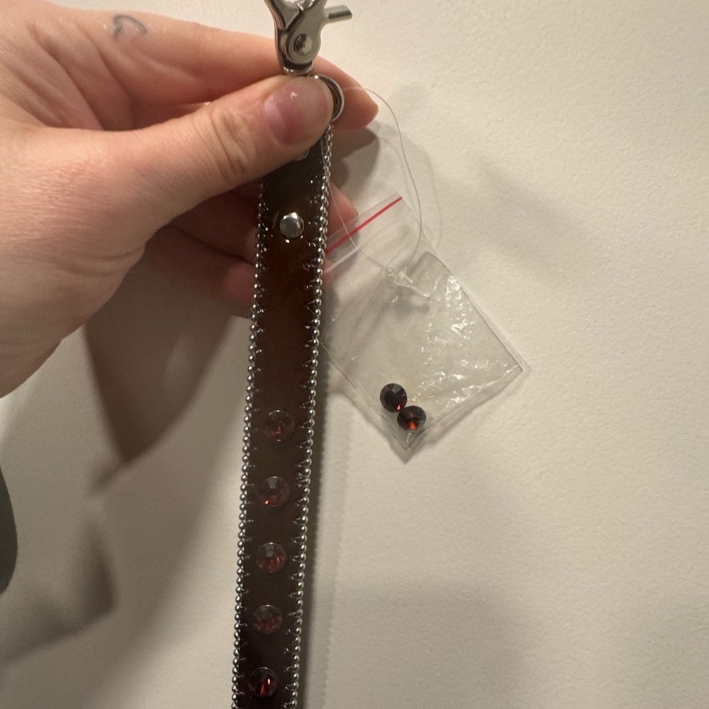 Brown Rhinestone Dog Leash - Picture 5 of 12